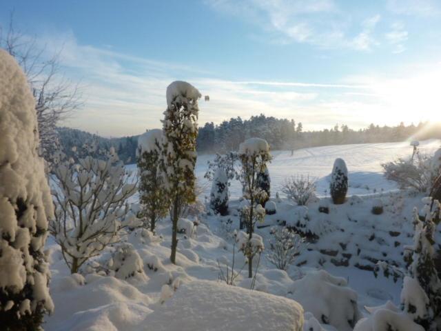 Landhotel Talblick Neuweiler  Eksteriør bilde